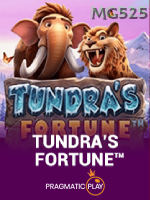 Tundras Fortune
